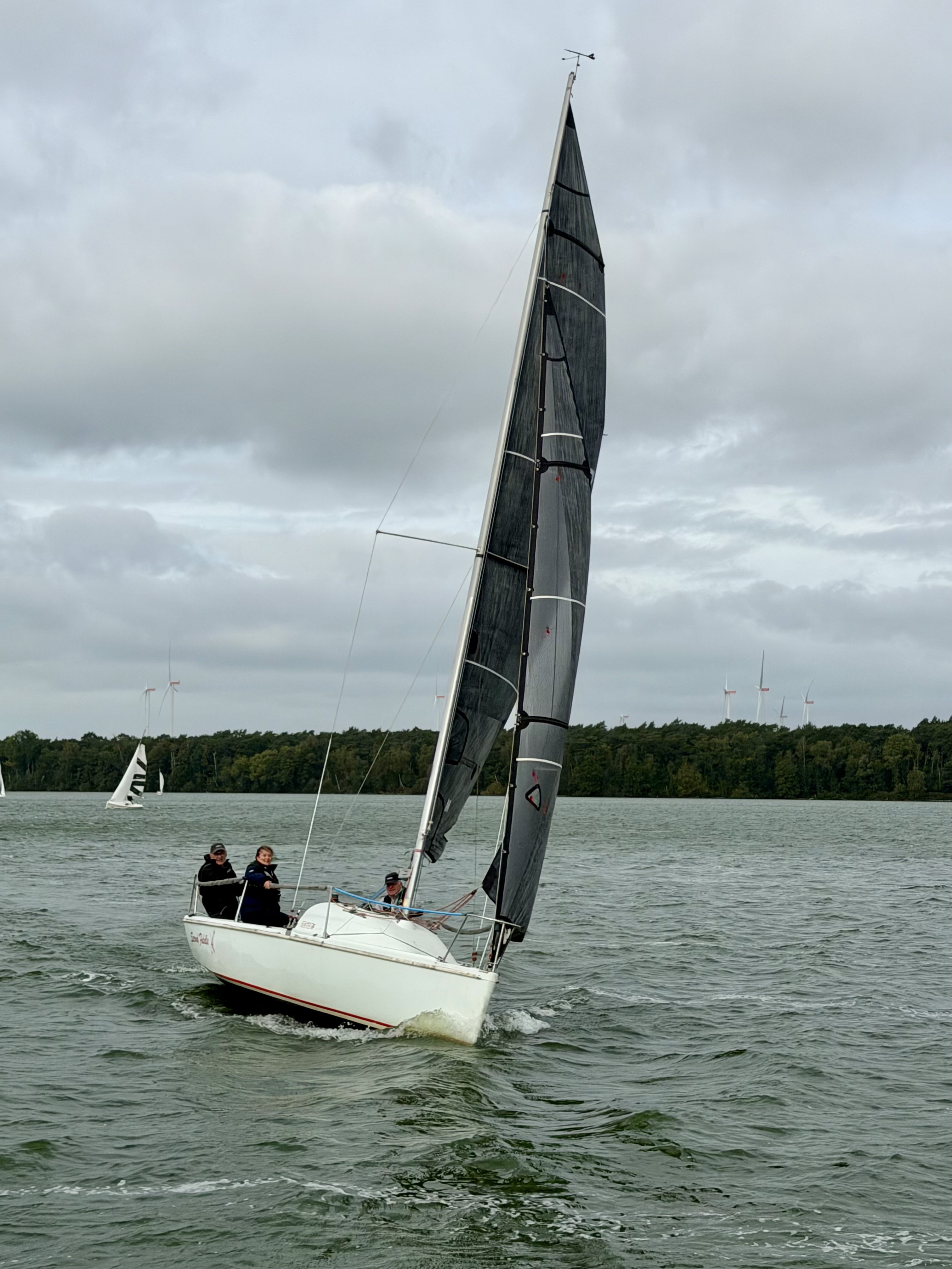 IMG 9532